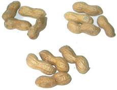 Erdnüsse-3x4.jpg